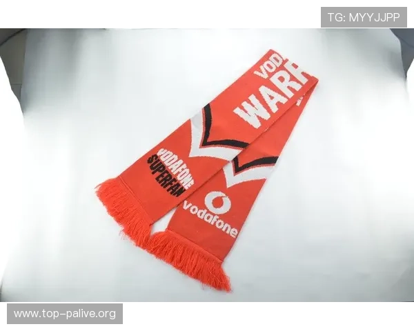 世界杯期间伊拉克与法国球迷围巾的独特设计与背后故事深度解析